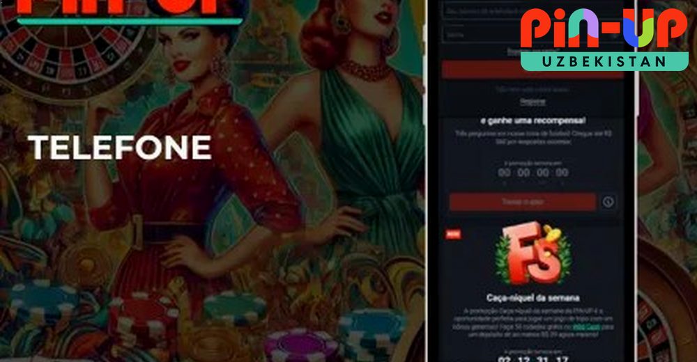PIN UP kirish formasi — telefon va email